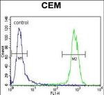 PON1 Antibody in Flow Cytometry (Flow)