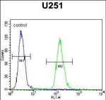 ZNF536 Antibody in Flow Cytometry (Flow)