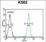 OX40L Antibody in Flow Cytometry (Flow)