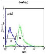 ATF1 Antibody in Flow Cytometry (Flow)