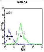 XBP1 Antibody in Flow Cytometry (Flow)