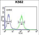 RTN4RL1 Antibody in Flow Cytometry (Flow)