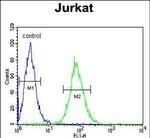 GGNBP2 Antibody in Flow Cytometry (Flow)