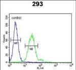 EpCAM Antibody in Flow Cytometry (Flow)