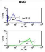 HAS2 Antibody in Flow Cytometry (Flow)