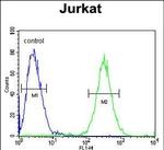 ST3GAL5 Antibody in Flow Cytometry (Flow)