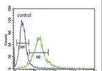 Ku70 Antibody in Flow Cytometry (Flow)