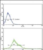 ALOX12 Antibody in Flow Cytometry (Flow)