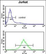 PPM1H Antibody in Flow Cytometry (Flow)