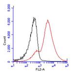 CD3g Antibody in Flow Cytometry (Flow)