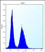 CHOP Antibody in Flow Cytometry (Flow)