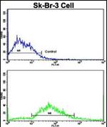 CD11c Antibody in Flow Cytometry (Flow)