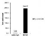 MCM6 Antibody in ChIP Assay (ChIP)
