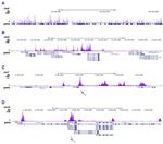 H2BK15ac Antibody in ChIP-Sequencing (ChIP-seq)