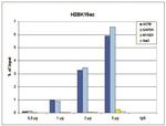 H2BK15ac Antibody in ChIP Assay (ChIP)