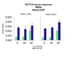 MED6 Antibody in ChIP Assay (CHIP)