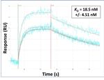 MFAP4 Antibody in Surface plasmon resonance (SPR)