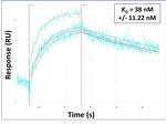 SLC26A9 Antibody in Surface plasmon resonance (SPR)