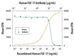 FGF17 Antibody