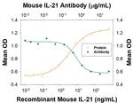 IL-21 Antibody in Neutralization (Neu)