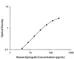 Epiregulin Antibody in ELISA (ELISA)