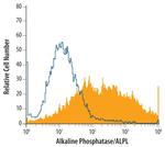 ALPL Antibody in Flow Cytometry (Flow)