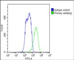 FADS2 Antibody in Flow Cytometry (Flow)