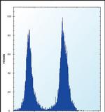 SLC16A10 Antibody in Flow Cytometry (Flow)