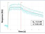 PAX7 Antibody in Surface plasmon resonance (SPR)