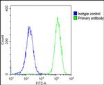 ANP Antibody in Flow Cytometry (Flow)