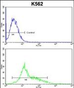 PARD3 Antibody in Flow Cytometry (Flow)