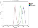 ASPH Antibody in Flow Cytometry (Flow)