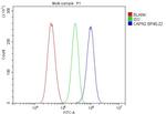 Calpain 2 Antibody in Flow Cytometry (Flow)