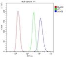 RIG-I Antibody in Flow Cytometry (Flow)