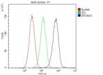 PERK Antibody in Flow Cytometry (Flow)