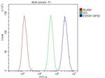 EWSR1 Antibody in Flow Cytometry (Flow)