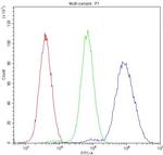 NFIA Antibody in Flow Cytometry (Flow)