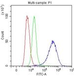 NFIA Antibody in Flow Cytometry (Flow)