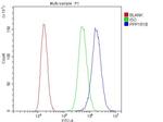 DARPP-32 Antibody in Flow Cytometry (Flow)