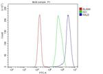 RALB Antibody in Flow Cytometry (Flow)