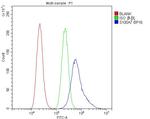 S100A7 Antibody in Flow Cytometry (Flow)