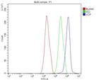 VCP Antibody in Flow Cytometry (Flow)