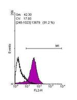 SOX2 Antibody in Flow Cytometry (Flow)