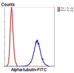 alpha Tubulin Antibody in Flow Cytometry (Flow)