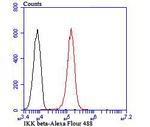 IKK beta Antibody in Flow Cytometry (Flow)