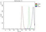 COX1 Antibody in Flow Cytometry (Flow)