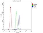 TLR7 Antibody in Flow Cytometry (Flow)