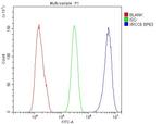 Ku70 Antibody in Flow Cytometry (Flow)