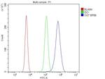 OGT Antibody in Flow Cytometry (Flow)