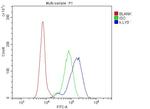 CD229 Antibody in Flow Cytometry (Flow)